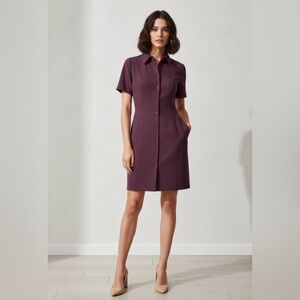 Babaton Aritzia NWT Telecast Rich Maroon Mini Dress w/ Full Button Front | Sz 6